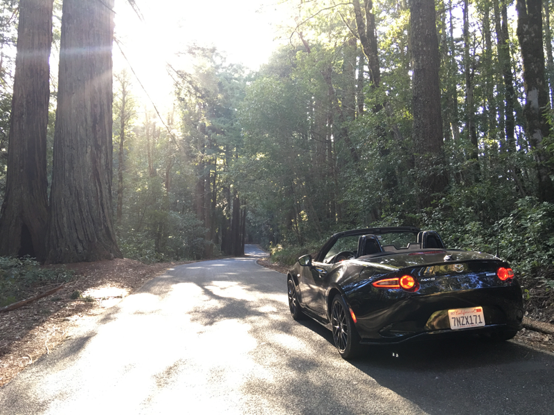 Illustration for article titled The Miata Adventure Update